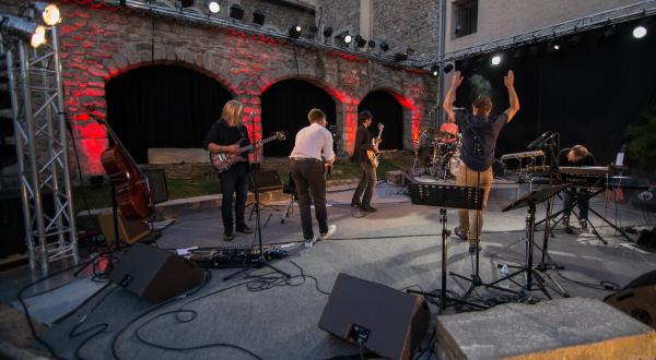 Festival FRESSONS à Orlienas 2022 (photos Christophe Clamaron)